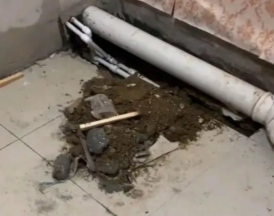 点军卫生间漏水检测哪家好