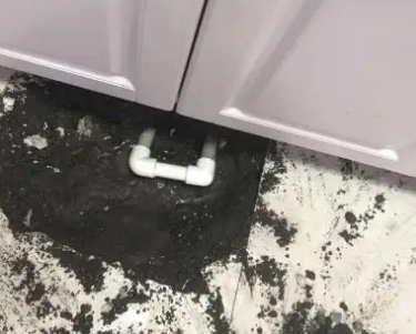 点军查漏水哪家好